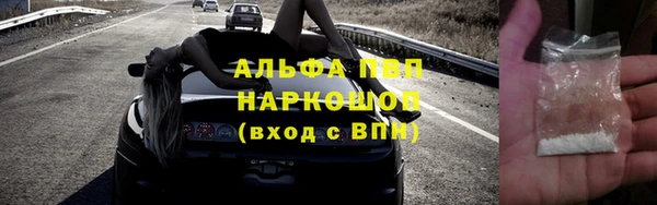 прущие грибы Баксан