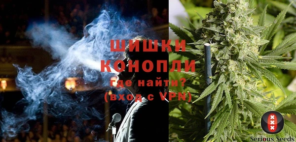 прущие грибы Баксан