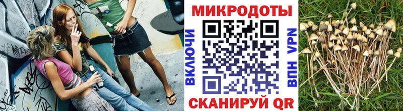 Псилоцибиновые грибы Cubensis магазин продажи наркотиков Кировск