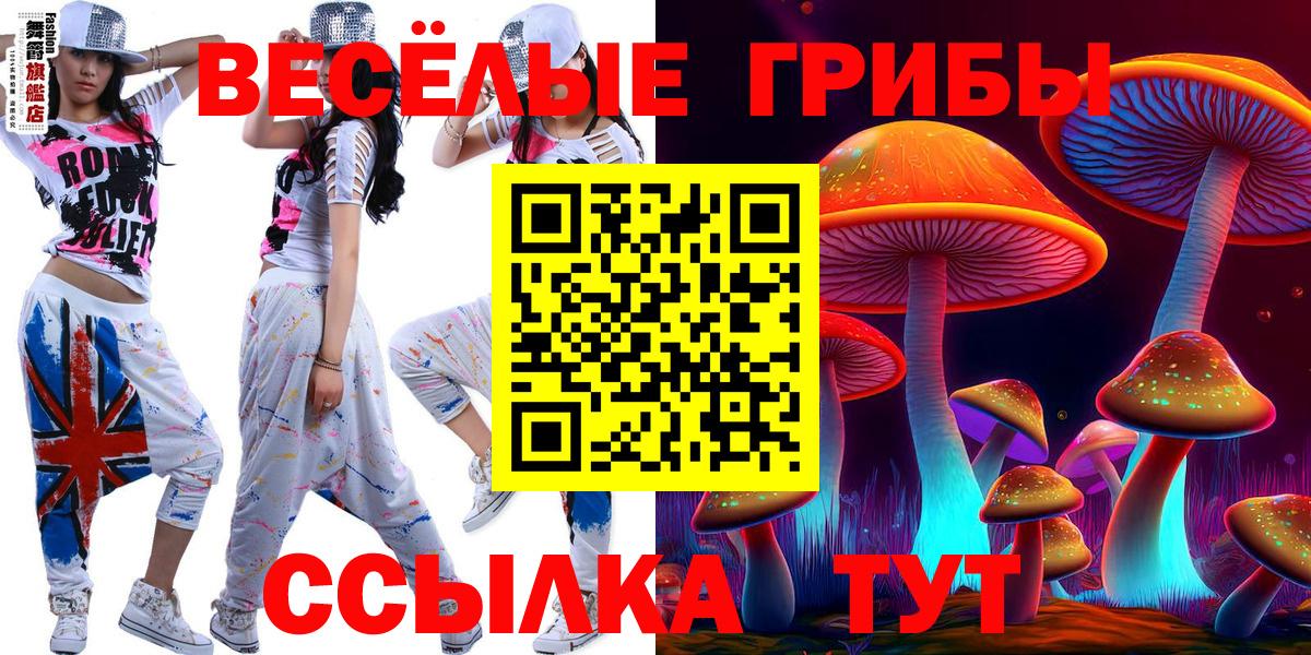 Кировск  Псилоцибиновые грибы Magic Shrooms  Вход с VPN 